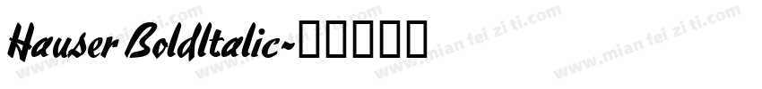 Hauser Boldltalic字体转换